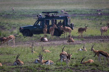 Elewana Sand River Masai Mara Hotel Maasai Mara Buitenkant foto